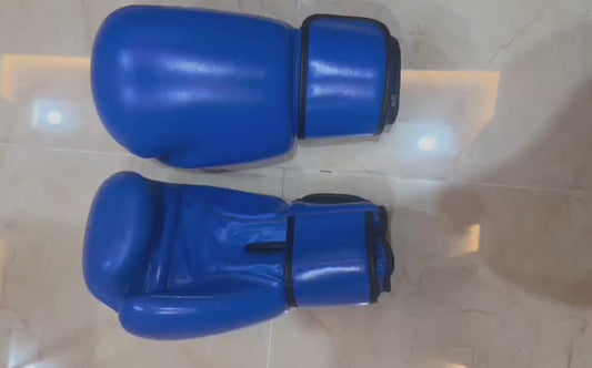 Pro-Style Genuine Leather Boxing Gloves – Royal Blue