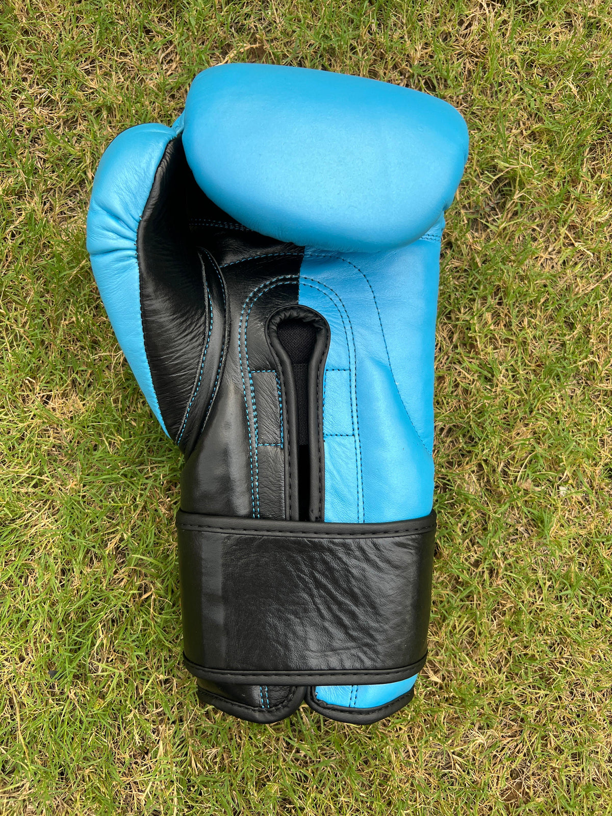 Genuine Leather Pro Training Boxing Gloves - Sky Blue / Black