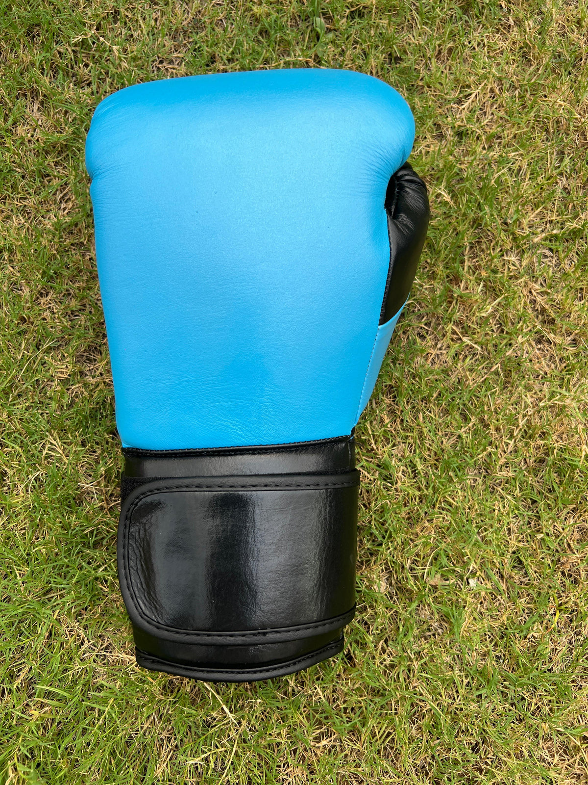 Genuine Leather Pro Training Boxing Gloves - Sky Blue / Black